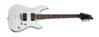 schecter2551.jpg